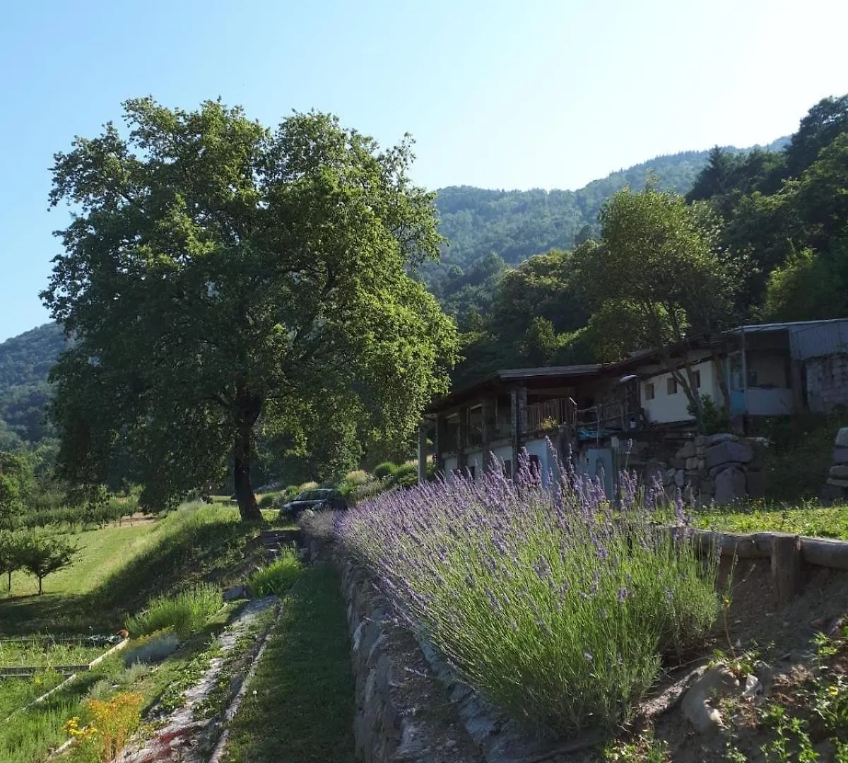 Βίλα Ca Del Lago Sulzano Ιταλία